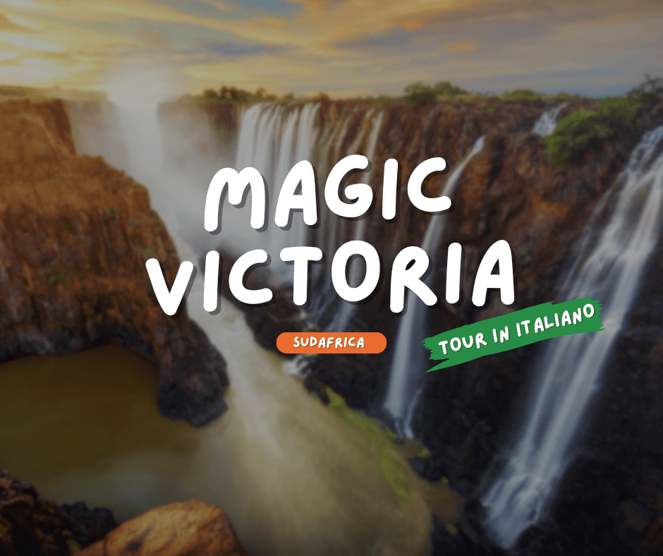 MAGIC VICTORIA