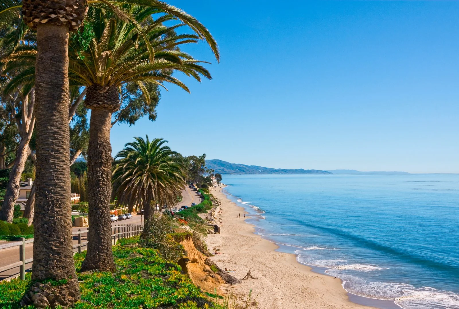 IL MAGNIFICO WEST | LOS ANGELES