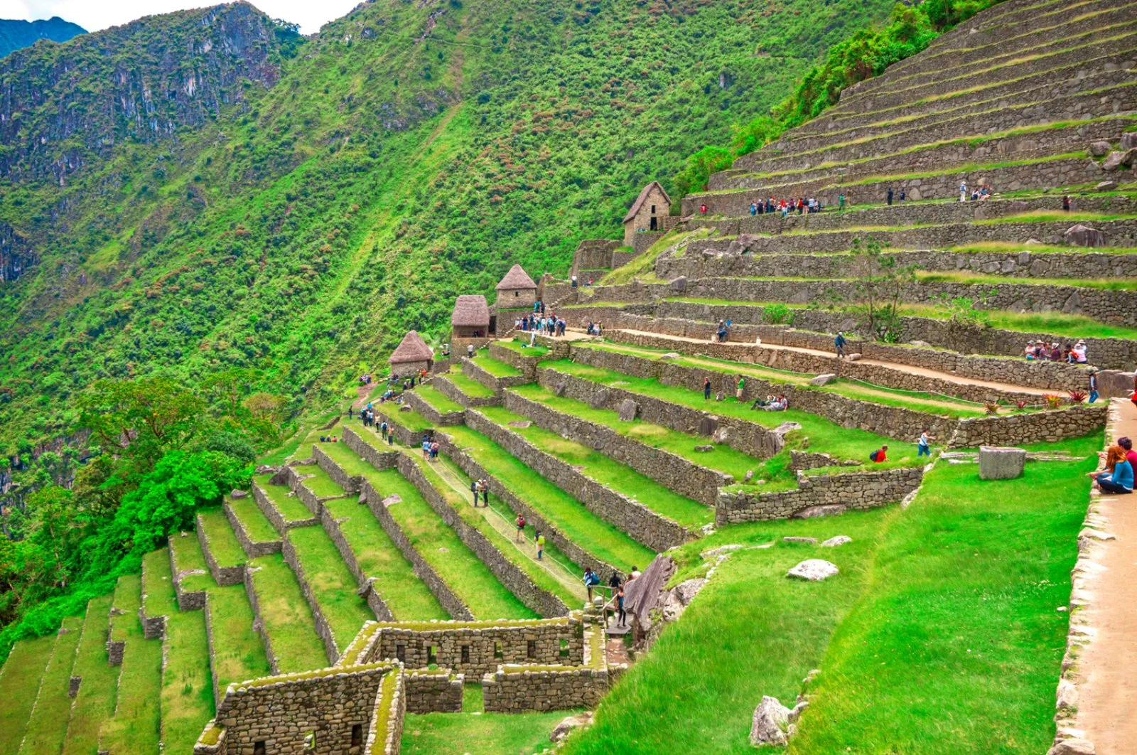 MAGIC TODO PERU'
