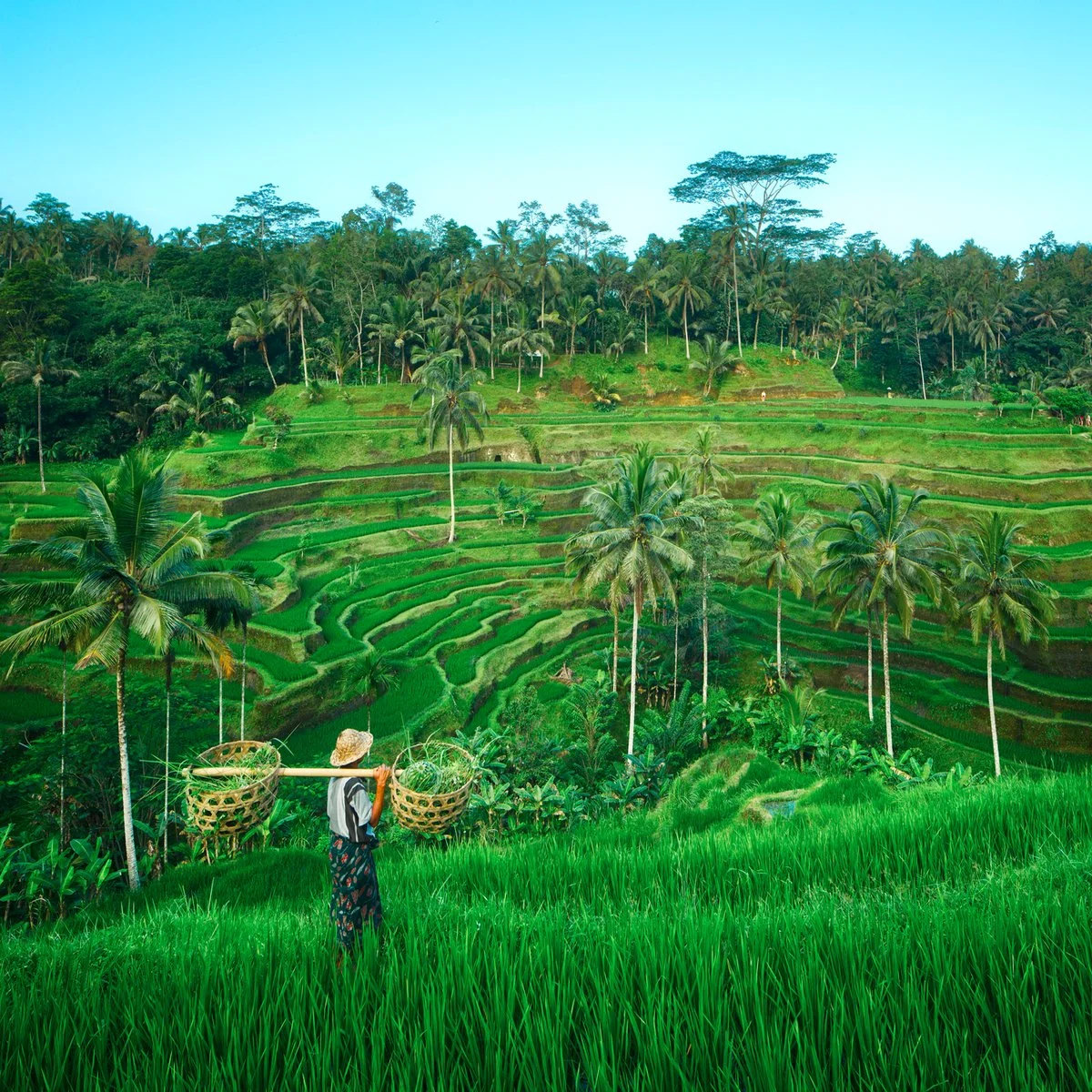 MAGIC BALI
