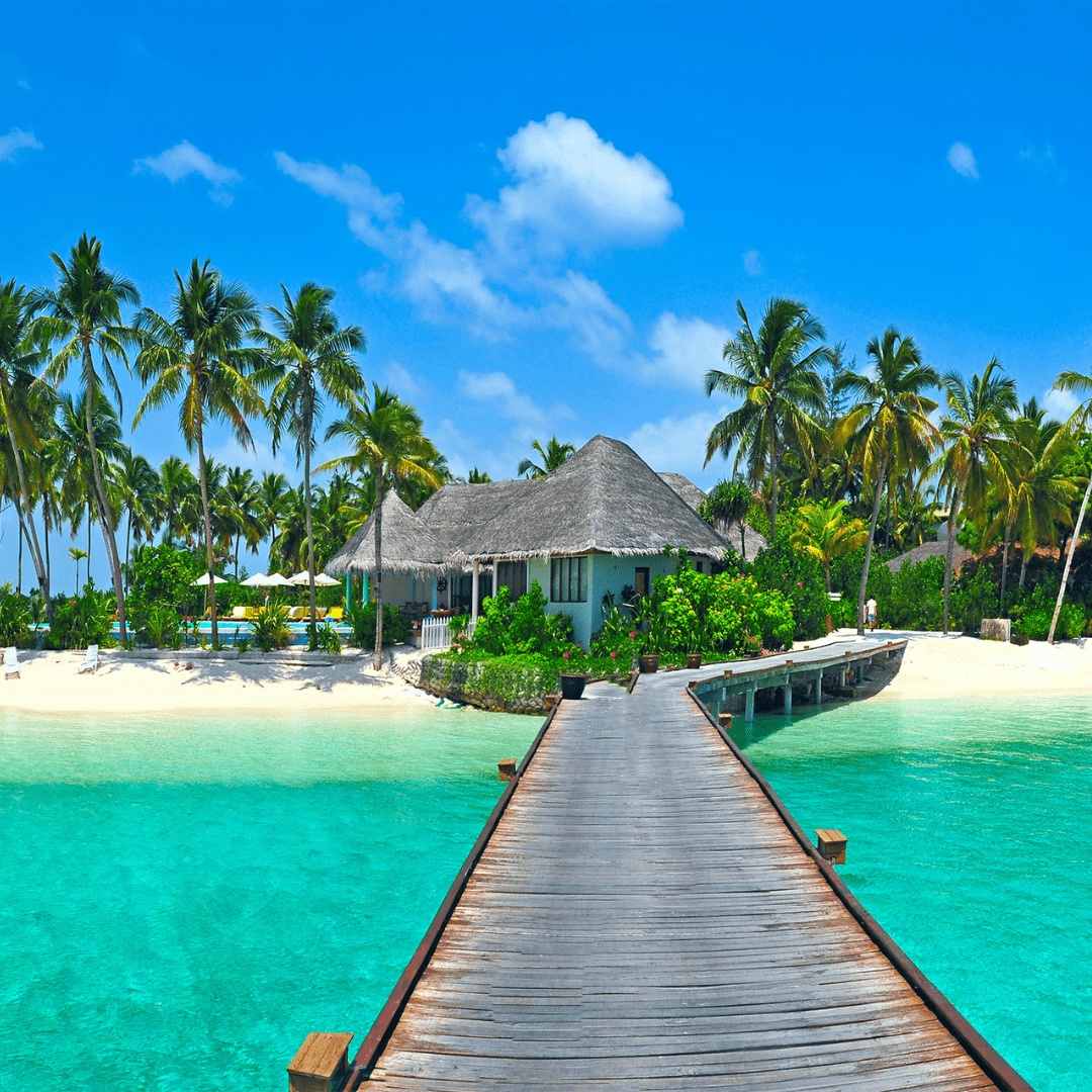 MALDIVE