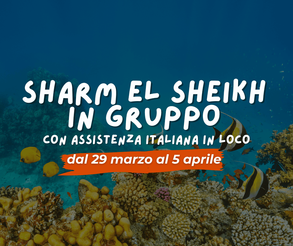 Viaggio di gruppo: SHARM EL SHEIKH