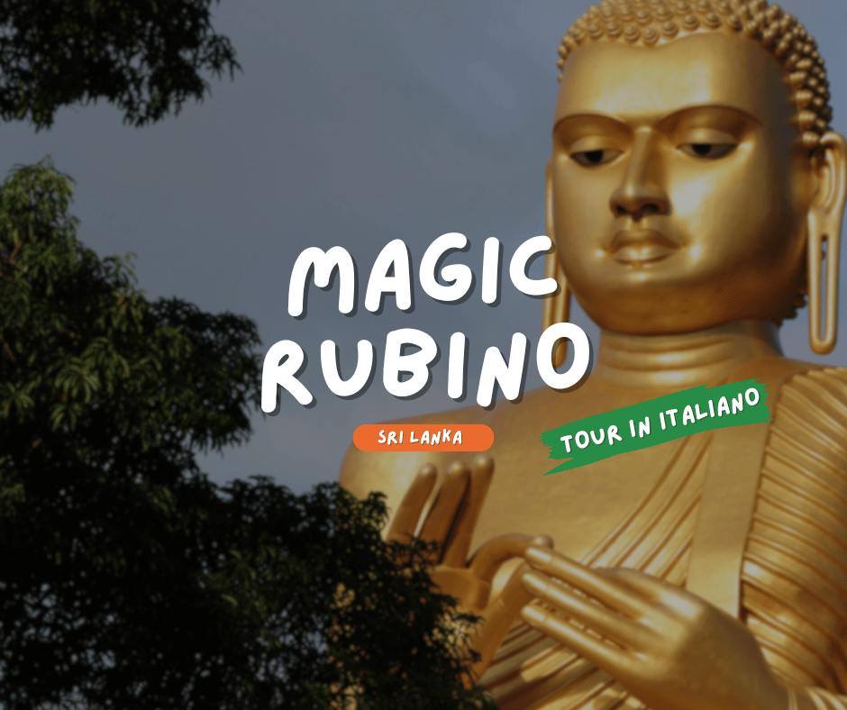 SRI LANKA: MAGIC RUBINO