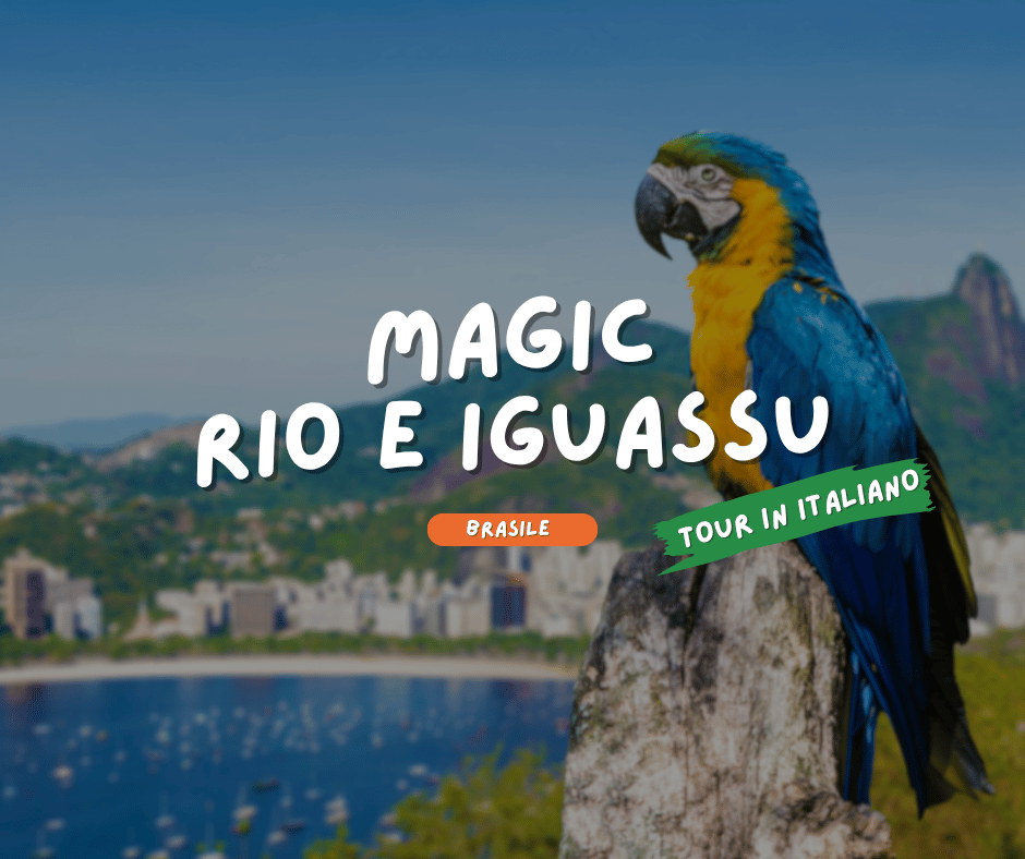 BRASILE: MAGIC RIO E IGUASSU