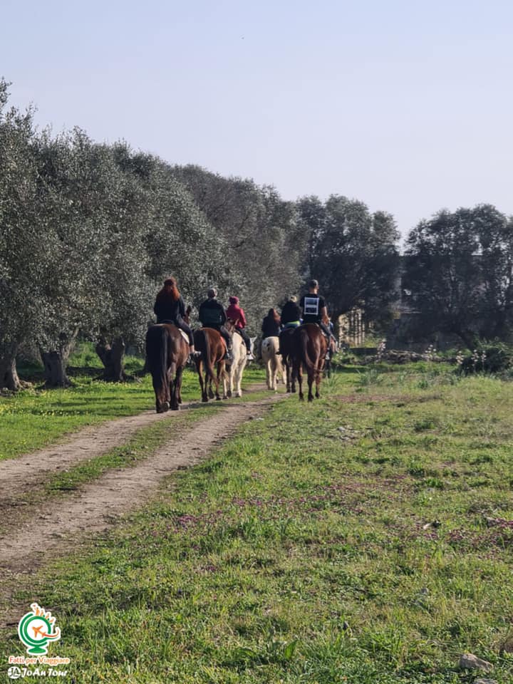 #inPuglia: Passeggiata a cavallo