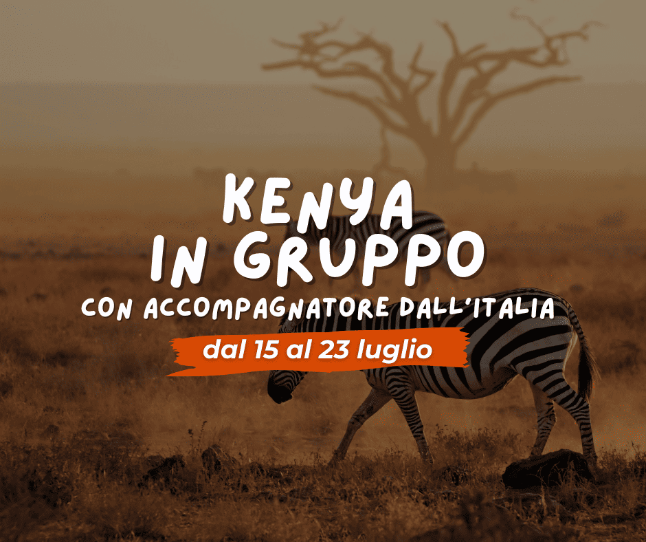 VIAGGIO DI GRUPPO KENYA