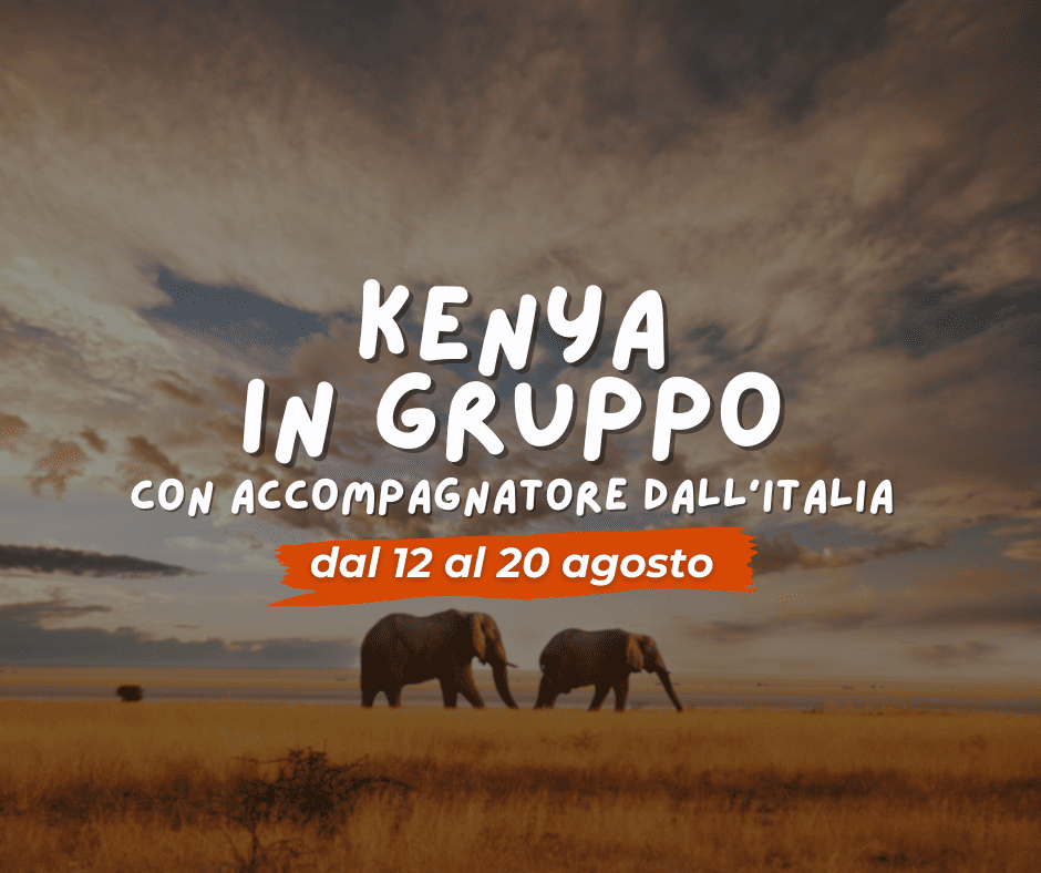 VIAGGIO DI GRUPPO KENYA