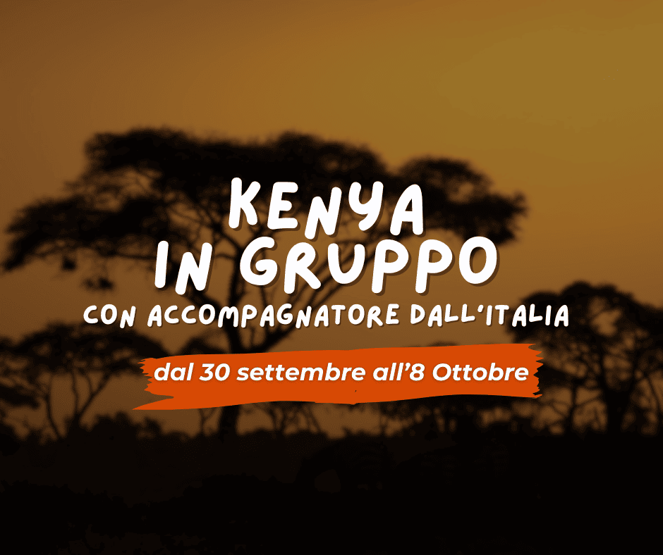 Viaggio di gruppo: KENYA