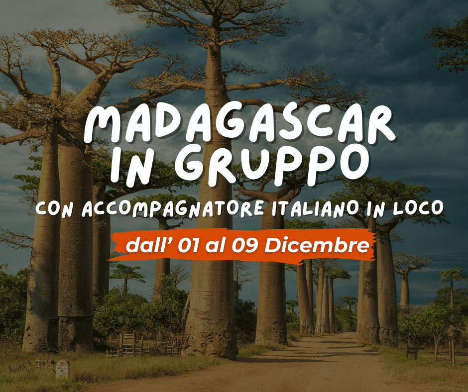 Viaggio di gruppo: MADAGASCAR
